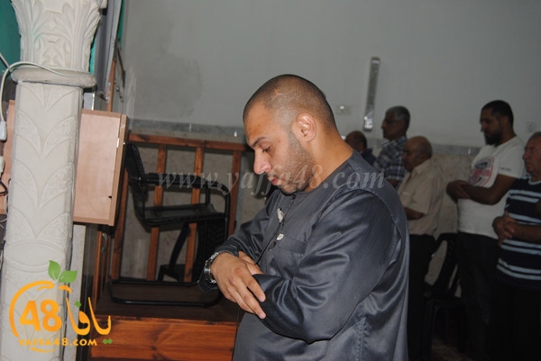 trawe7 zatona (2).JPG